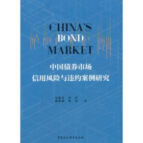 中国地方政府债券蓝皮书：中国地方政府债券发展报告（2022）