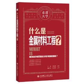 什么是经济学 走进大学丛书