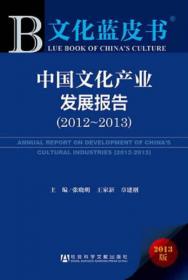 2009年中国文化产业发展报告