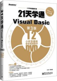 21天学通Visual Basic（第4版）