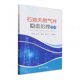 石油炼制工程师手册（第2卷 炼油装置工艺与工程）