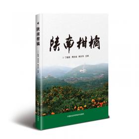 陕南古镇文化生态与景观保护