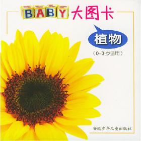 BABY看世界：我家的小果菜园