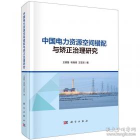 中国书法线条研究（全国艺术规划研究项目）