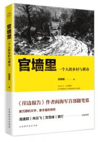 崖边报告：乡土中国的裂变记录