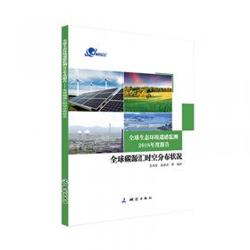 全球生态环境遥感监测2020年度报告(全球城市扩展与土地覆盖变化)