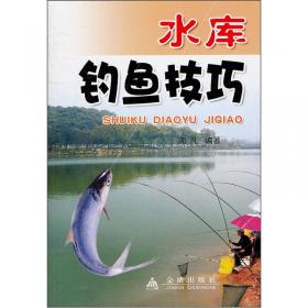 台湾钓鱼技法（修订版）