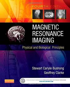 Magnetic Memory: Fundamentals and Technology
