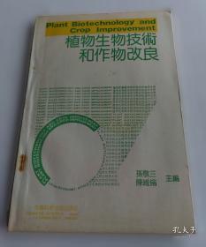 植物精油养生