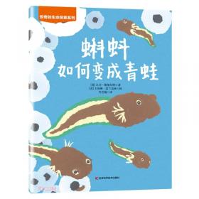 蝌蚪系列童书——创意小画家-数字变变变