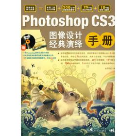 Photoshop CS3七大难点技能特训精解