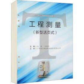 薪酬激励量化实操全案 薪酬管理 薪酬设计 薪酬激励新实战 薪酬体系设计实操 绩效考核 工资薪酬 薪酬绩效 人力资源管理实操用书