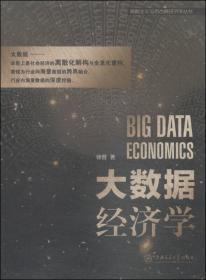 离散主义与后古典经济学丛书：大数据平台