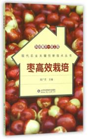 绿色果品高效生产关键技术丛书：枣绿色高效生产关键技术