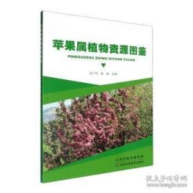 苹果,苹果:王秋杨与西藏的十年慈善故事