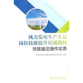 风力发电机组塔架与基础/风力发电工程技术丛书