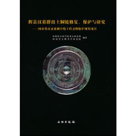 安阳大司空——2004年发掘报告（上、下册）