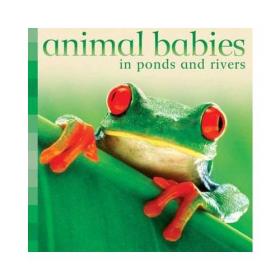 Animal Farm