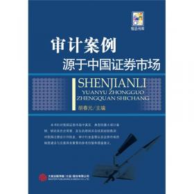 中国注册会计师非标准无保留意见审计报告及范例——案例源自中国证券市场