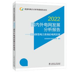 能源与电力分析年度报告系列 2021 世界电力行业跨国投资分析报告