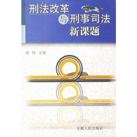 刑事立法与司法适用:中国当代刑法研究