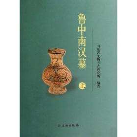山东王因：新石器时代遗址发掘报告