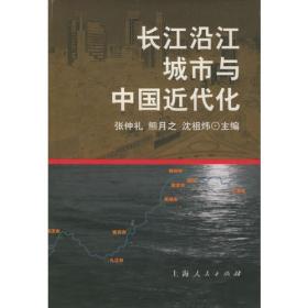 中国绅士：关于其在十九世纪中国社会中作用的研究