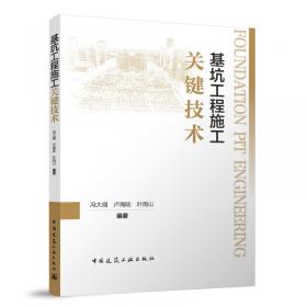 基坑工程设计方案技术论证与应急抢险应用研究