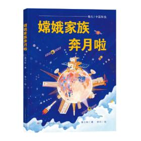 敬礼，中国科技:太空里的中国星