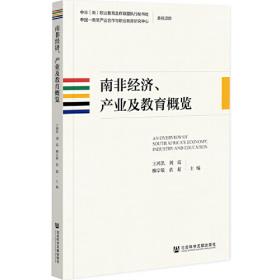 南非的启示：曼德拉传·从南非看中国·新南非十九年