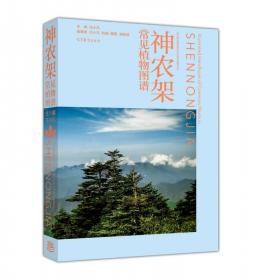 教育实践手册/云南省普通高等学校“十二五”规划教材