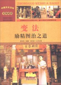 中国文化百科 史海政治：法度 依法治国方略（彩图版）
