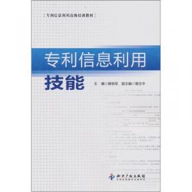 专利文献研究（2010）