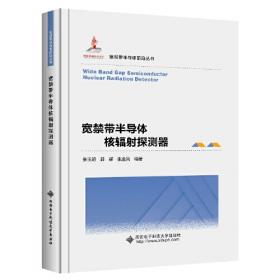 中国中小上市公司成长报告(2010年度)