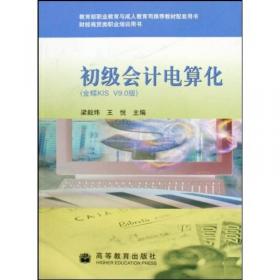 会计电算化（第二版）（21世纪高职高专会计类专业课程改革规划教材）