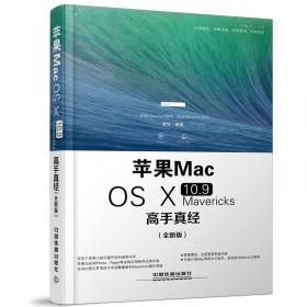 苹果 Mac OS X 10.9 Mavericks 高手真经