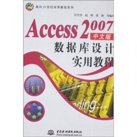图解精通Access 2007中文版