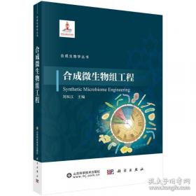 合成洗涤剂生产工艺