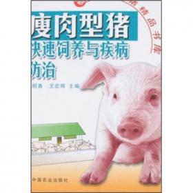 瘦肉型猪快速饲养与疾病防治