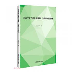 水泥混凝土桥面沥青铺装病害防治与养护技术