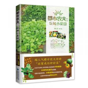 阳台种菜：种出放心菜收获好心情