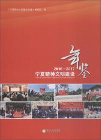 宁夏煤炭工业志（1991—2012）