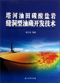 塔河油气田开发研究文集/纪念中国石化西北分司勘探开发研究院成立十周年（1996-2006）