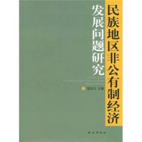 2005中国少数民族地区发展报告