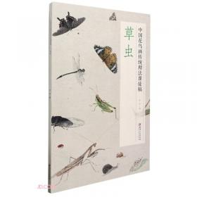 菊(中国花鸟画传统理法课徒稿)