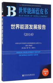 世界能源蓝皮书：世界能源发展报告（2015）
