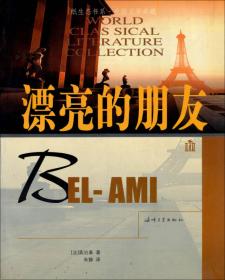 纸生态书系·外国文学典藏：九三年