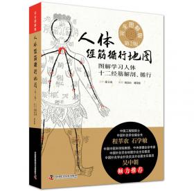 中医新视点丛书·经筋学说与新铍针疗法