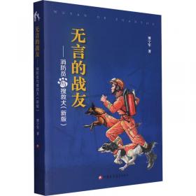 无言的证人