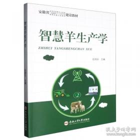 智慧城市规划方法:适应性视角下的空间分析模型